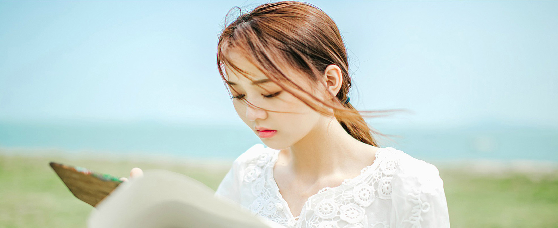 樟树风信子伴游网_樟树伴游